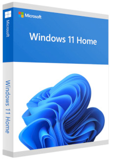 Microsoft Windows 11 Home - Kleinanzeigen.eu